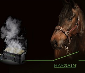 haygain,-hay-steamer